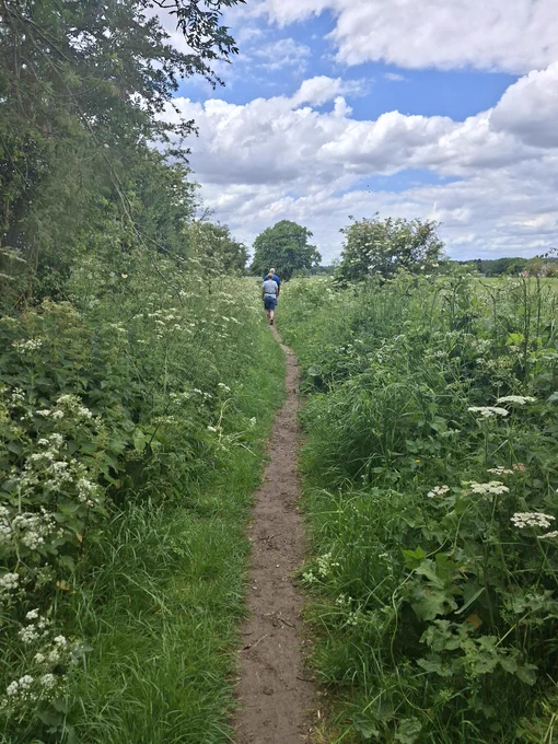 A path surrounded by shrubs and trees next to a corn field, two people are walking in the distance. The sky above is cloudy and blue 