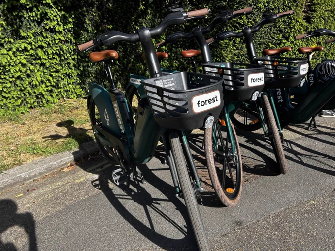 Three Forest bikes