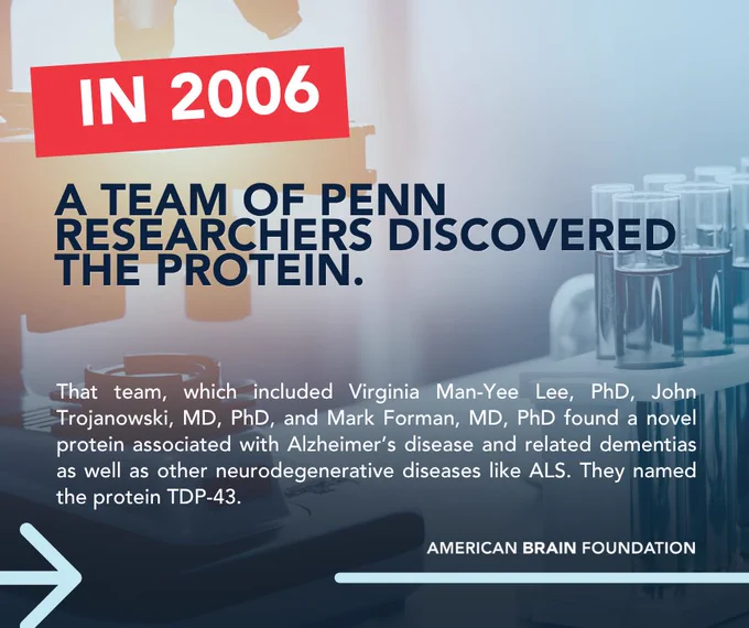 In 2006, a team of Penn researchers discovered the protein. That team, which included Virginia Man-Yee Lee, PhD, John Trojanowski, MD, PhD, and Mark Forman, MD, PhD found a novel protein associated with Alzheimer's disease and related dementias as well as other neurodegenerative diseases like ALS. They named the protein TDP-43.