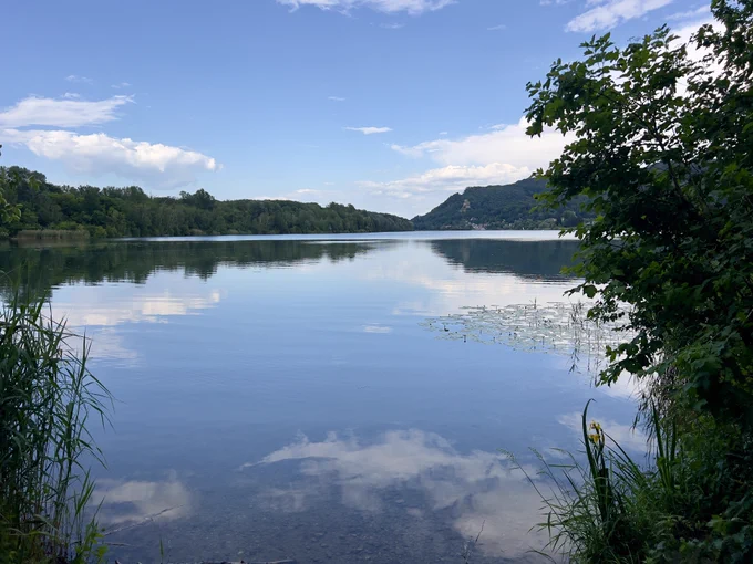 Im Wasser des Altarms spiegelt sich der leicht bewölkte Himmel. Das Ufer ist mit Grün gesäumt