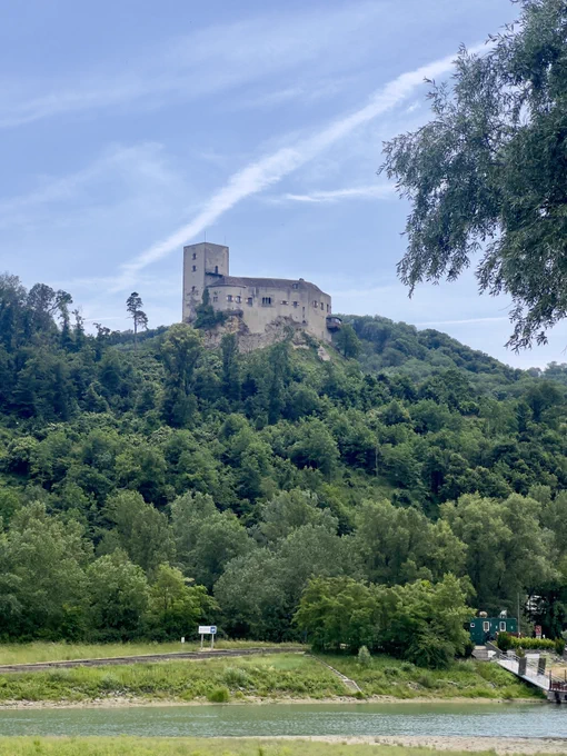 Die Burg Greifenstein an einem Hügel im Wald.