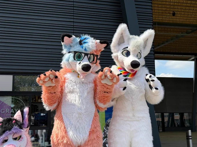 Blorange Fox and a white wolf holding there paws up to the viewer.