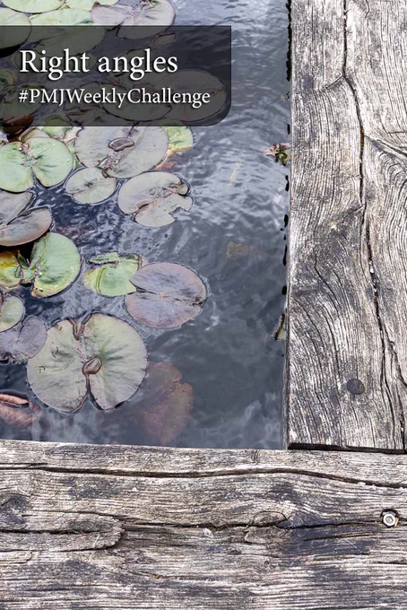 Title overlay in the top left reads 'Right angles', with '#PMJWeeklyChallenge' below. The photograph shows the corner of a pond. Lily pads float on dark grey water across the left side of the frame, a few with curled, browning edges. Heavy weathered timber wraps the bottom and right edges in a clean L-shape, its grain deep and bleached to silver-grey. A bolt head sits flush in the wood near the lower right.