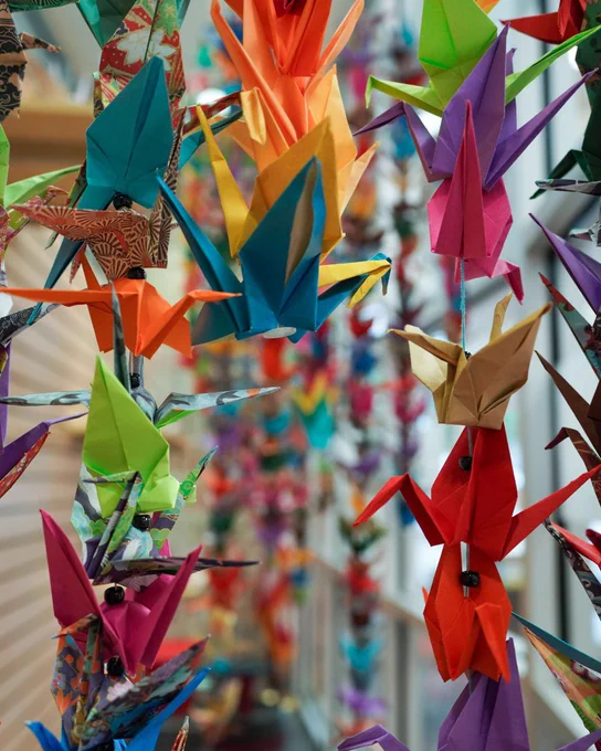Colorful origami cranes hanging closely together, creating a vibrant and intricate display of folded paper art.