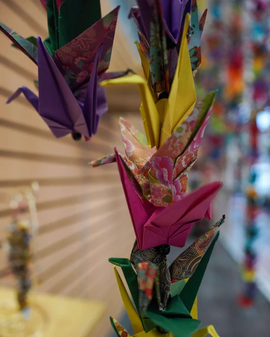 Close-up of colorful origami cranes hanging in a display with more paper cranes blurred and hanging in the background.