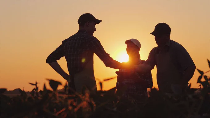 Two men shake hands as a woman looks on, while standing in a crop field at sunset. 
