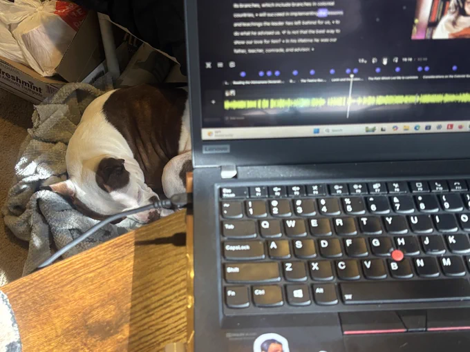 Laptop open to podcast editing and dog curled up in the background