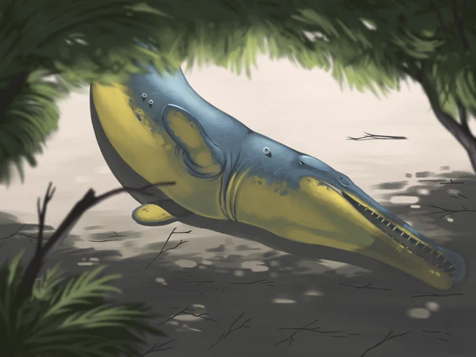 Torvoneustes is Metriorhynchidae Thalattosuchians, they lived during the late Jurassic, and was found in Europe and South America. They grew up to 4.5 meters long, had smooth streamlined body with four limbs evolved into flippers, with fish-like tail fin, they also posses jaw filled with serated teeths, it's likely that they hunt larger prey such as other marine reptiles in their habitat.