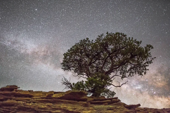 Background photo shows a bonsai type tree growing out from a mountain side under the evening sky, with clouds and stars.