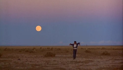 Badlands (1973) dir. Terrence Malick