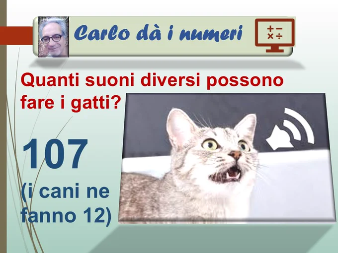 Quanti suoni diversi possono fare i gatti?
107
(i cani ne fanno 12).