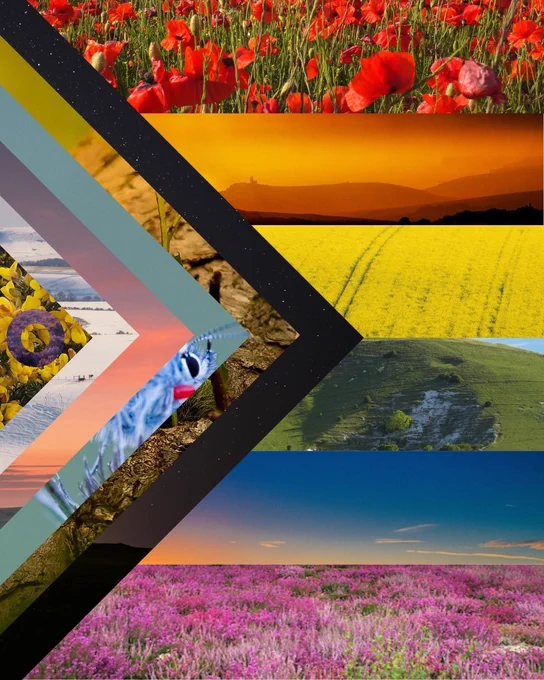 A collage of nature photographs arranged in the formation of the Progress Pride flag.