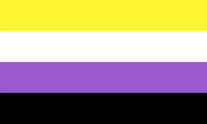 nonbinary flag