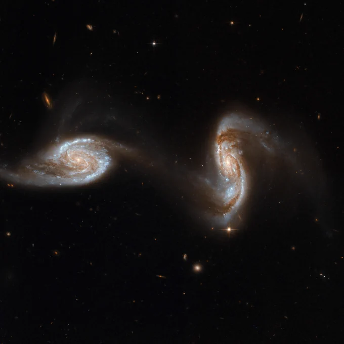 Two spiral galaxies shine side-by-side against black space. Both galaxies have spiral arms full of dark brown dust and bright blue stars.