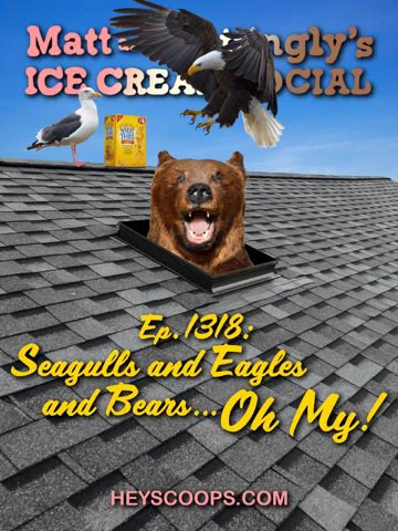 SUMMARY: Paul's knees are acting up; will turmeric fix it? A small fire in a Vegas showroom leads us down a disco rabbit hole. From Zoom, we get a story about animal encounters. Matt and the kids go out on a Duffy boat with snacks. Paul does some impersonations. And a Scoopardy!

PHOTO ILLUSTRATION: A bear and a seagull with a box of Wheat Thins are on top of a shingled roof, with an eagle swooping in with talons bared.