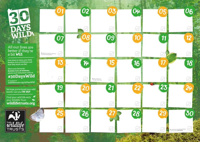 Event Today - 30 Days Wild