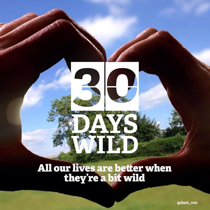 Event Today - 30 Days Wild
