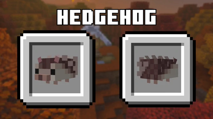 (NOT OFFICIAL) Hedgehog concept for "The Dappled Forest" Minecraft Biome.
