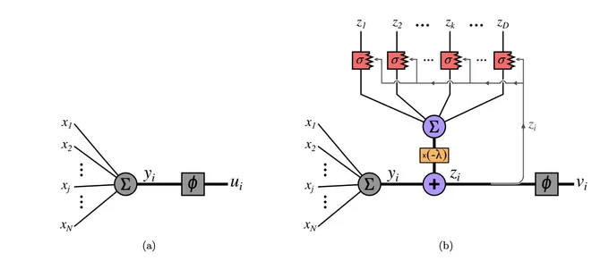 Schematic neuron models. Left: standard neuron model in ANNs, following a simplistic abstraction from the neuroscience of the 1950s [1, 2] that assumed linear dendrites and an output nonlinearity. Right: proposed neuron model, based on a recent model of cortical cells [22]; notice how this new model extends the standard neuron model by considering internal nonlinearities σ (that represent dendritic processes), and these nonlinearities are affected in a dynamic way by the activity value zi (that represents the bAP going from the soma to the dendrites), itself depending on the inputs xj and the contributions zk from other neurons.