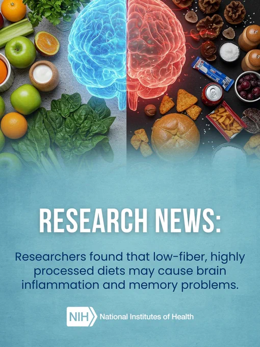 A split image showing a brain, with one side colored blue and the other red. Surrounding the blue side are fresh fruits, vegetables, and nuts. Surrounding the red side are processed foods like candy, chips, and soda. Below is text: "Research News: Researchers found that low-fiber, highly processed diets may cause brain inflammation and memory problems." NIH logo at the bottom.