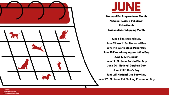 2026 June Calendar