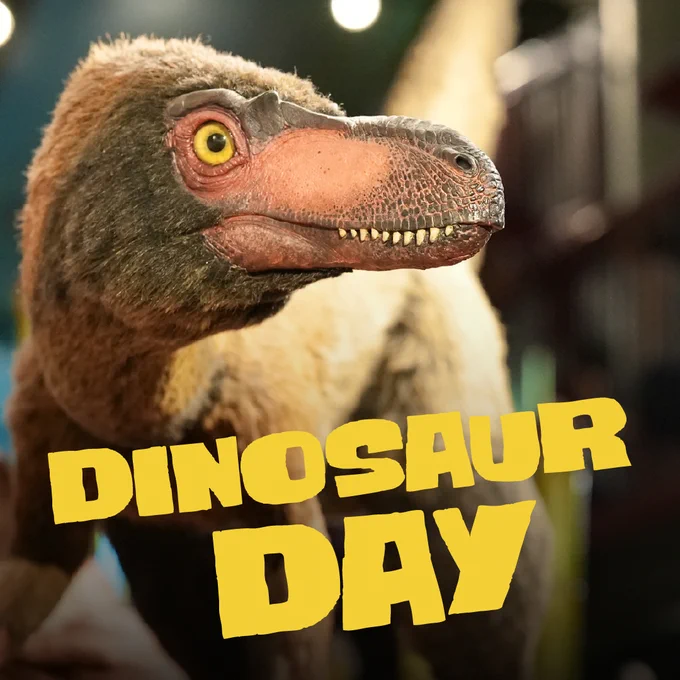 Close-up of a feathered dinosaur model with sharp teeth and bright yellow eyes under soft lighting.