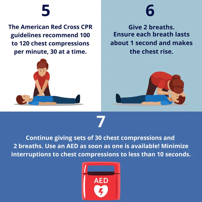 Infographic listing the last three steps of CPR. 5. The American Red Cross CPR guidelines recommend 100 to 120 chest compressions per minute, 30 at a time. 6. Give 2 breaths. Ensure each breath lasts about 1 second and makes the chest rise. 7. Continue giving sets of 30 chest compressions and 2 breaths. Use an AED as soon as one is available! Minimize interruptions to chest compressions to less than 10 seconds.