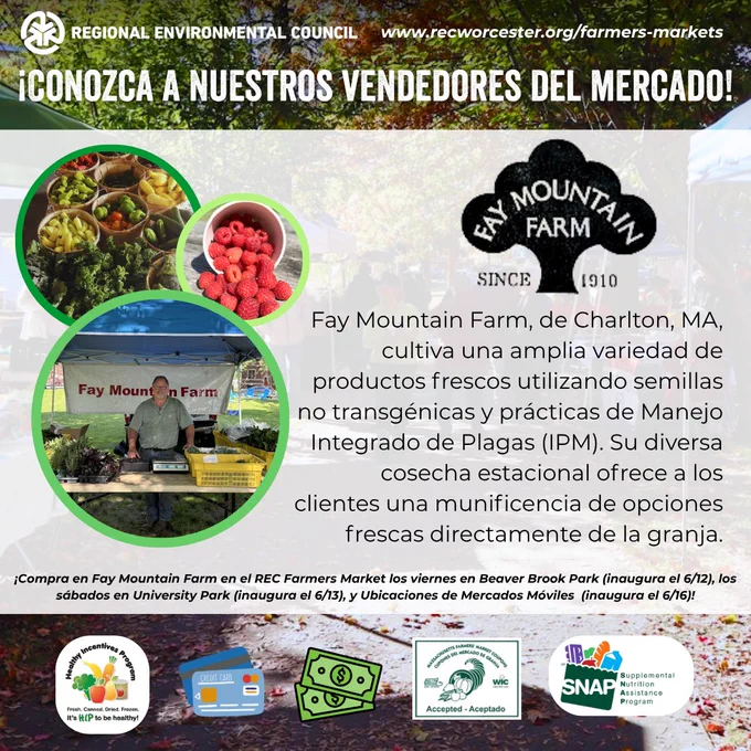 ¡Conozca a los vendedores del mercado del  REC! Fay Mountain Farm, de Charlton, MA, cultiva una amplia variedad de productos frescos utilizando semillas no transgénicas y prácticas de Manejo Integrado de Plagas (MIP). Su diversa cosecha de temporada ofrece a los clientes una abundancia de productos recién salidos de la granja. ¡Compre en el Mercado de Agricultores del REC los viernes en Beaver Brook Park, los sábados en University Park y en las distintas ubicaciones del mercado móvil!