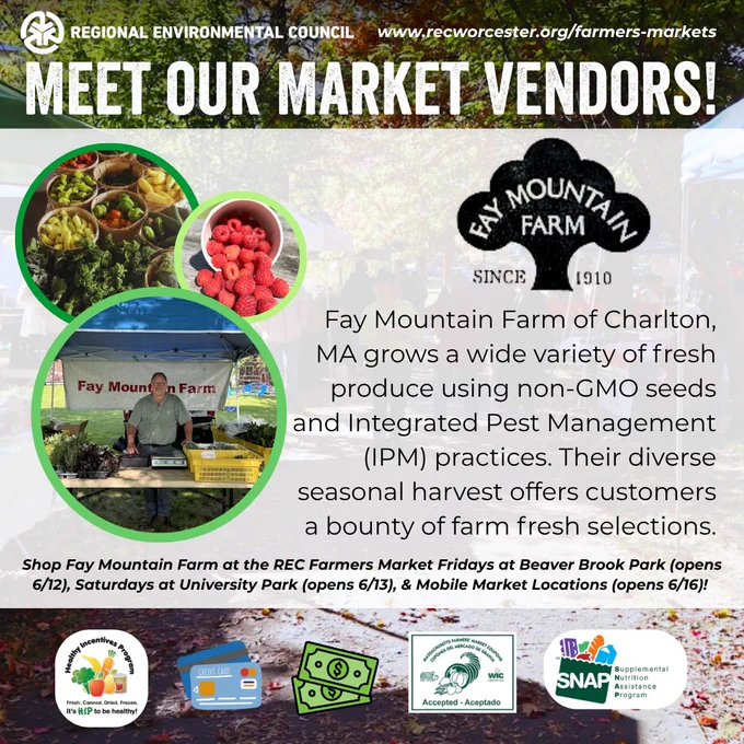 Meet the Regional Environmental Council's market vendors! Fay Mountain Farm of Charlton, MA grows a wide variety of fresh produce using non-GMO seeds and Integrated Pest Management (IPM) practices. Their diverse seasonal harvest offers customers a bounty of farm fresh selections. Shop Fay Mountain Farm at the REC Farmers Market Fridays at Beaver Brook Park (opens 6/12), Saturdays at University Park (opens 6/13), and mobile market locations! HIP, Card, Cash, Senior/WIC Coupons, & SNAP accepted.