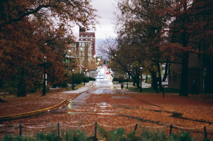 Wet street lined with autumn trees and fallen leaves leading to a distant city building under a cloudy sky by Yazin Ali Merayyan.