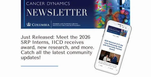 Banner for IICD Newsletter June 2026