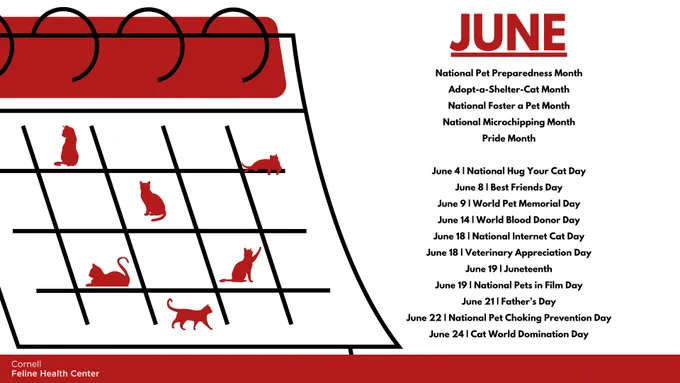 2026 June Calendar