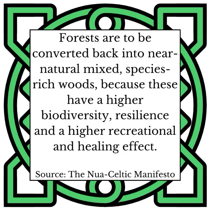 Forests are to be converted back into near-natural mixed, species- rich woods, because these have a higher biodiversity, resilience and a higher recreational and healing effect. Source: The Nua-Celtic Manifesto