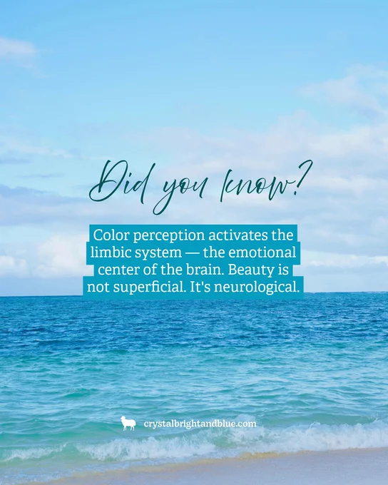 "Did you know?" heading and teal text overlay reading "Color perception activates the limbic system — the emotional center of the brain. Beauty is not superficial. It's neurological." — faith and science post by Crystal Bright and Blue.