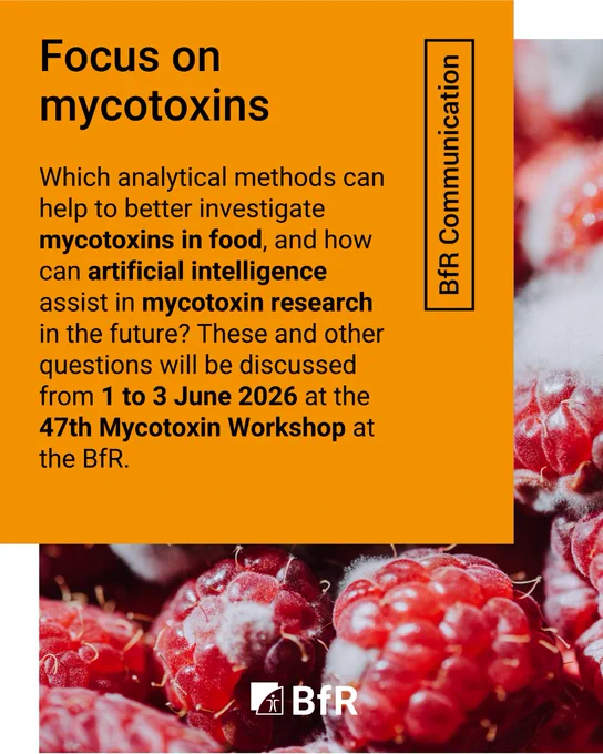 Focus on mycotoxins. Which analytical methods can help to better investigate mycotoxins in food, and how can artificial intelligence assist in mycotoxin research in the future? These and other questions will be discussed from 1 to 3 June 2026 at the 47th Mycotoxin Workshop at the BfR.