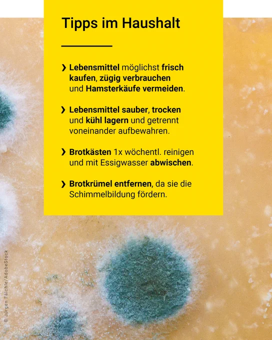 Tipps im Haushalt: Lebensmittel möglichst frisch kaufen, zügig verbrauchen und Hamsterkäufe vermeiden. Lebensmittel sauber, trocken und kühl lagern und getrennt voneinander aufbewahren. Brotkästen 1x wöchentl. reinigen und mit Essigwasser abwischen. Brotkrümel entfernen, da sie die Schimmelbildung fördern.