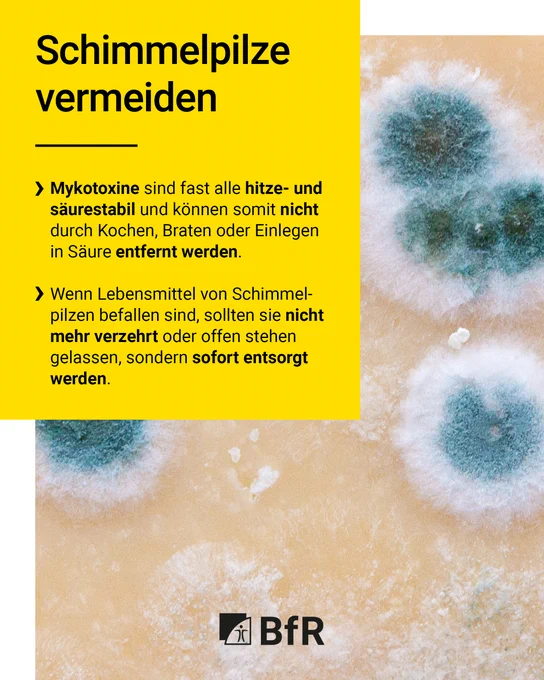 Schimmelpilze vermeiden: Mykotoxine sind fast alle hitze- und säurestabil und können somit nicht durch Kochen, Braten oder Einlegen in Säure entfernt werden. Wenn Lebensmittel von Schimmelpilzen befallen sind, sollten sie nicht mehr verzehrt oder offen stehen gelassen, sondern sofort entsorgt werden.