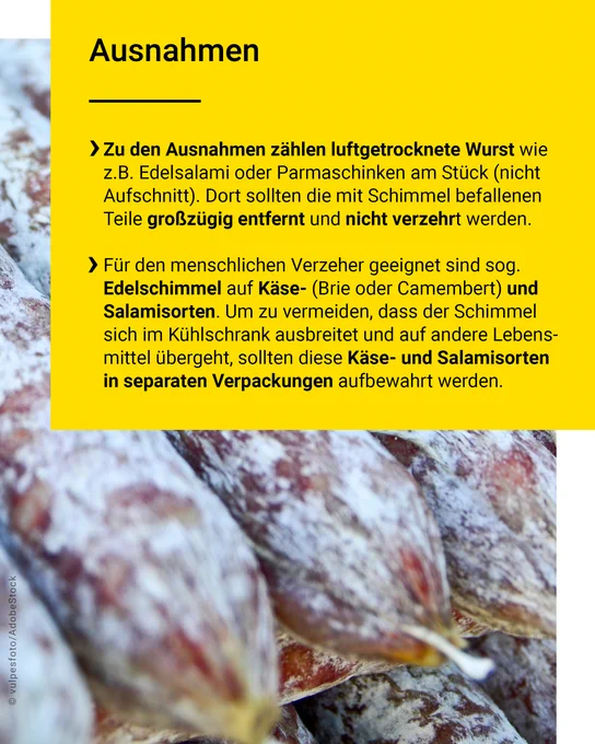 Ausnahmen: Zu den Ausnahmen zählen luftgetrocknete Wurst wie z.B. Edelsalami oder Parmaschinken am Stück (nicht Aufschnitt). Dort sollten die mit Schimmel befallenen Teile großzügig entfernt und nicht verzehrt werden. Für den menschlichen Verzeher geeignet sind sog. Edelschimmel auf Käse- (Brie oder Camembert) und Salamisorten. Um zu vermeiden, dass der Schimmel sich im Kühlschrank ausbreitet und auf andere Lebensmittel übergeht, sollten diese Käse- und Salamisorten in separaten Verpackungen aufbewahrt werden.