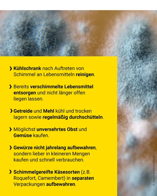 Kühlschrank nach Auftreten von Schimmel an Lebensmitteln reinigen. Bereits verschimmelte Lebensmittel entsorgen und nicht länger offen liegen lassen. Getreide und Mehl kühl und trocken lagern sowie regelmäßig durchschütteln. Möglichst unversehrtes Obst und Gemüse kaufen. Gewürze nicht jahrelang aufbewahren, sondern lieber in kleineren Mengen kaufen und schnell verbrauchen. Schimmelgereifte Käsesorten (z.B. Roquefort, Camembert) in separaten Verpackungen aufbewahren.