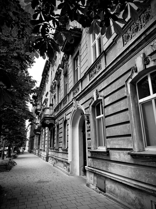 A photo of a historic building in Krakow. Trees overhang a stone pavement.