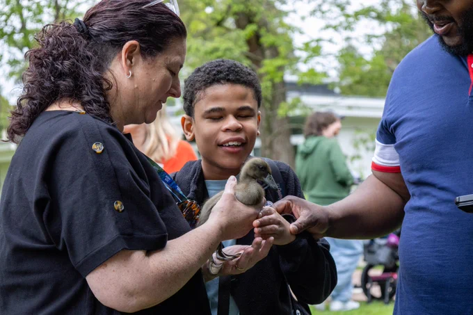 Cameron pets a baby duck