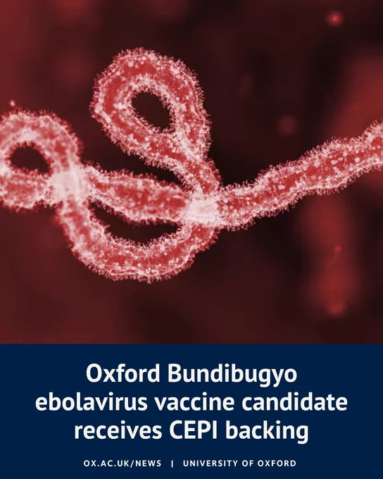 Illustration of an Ebola virus particle with a headline about CEPI backing for an Oxford Bundibugyo ebolavirus vaccine candidate.