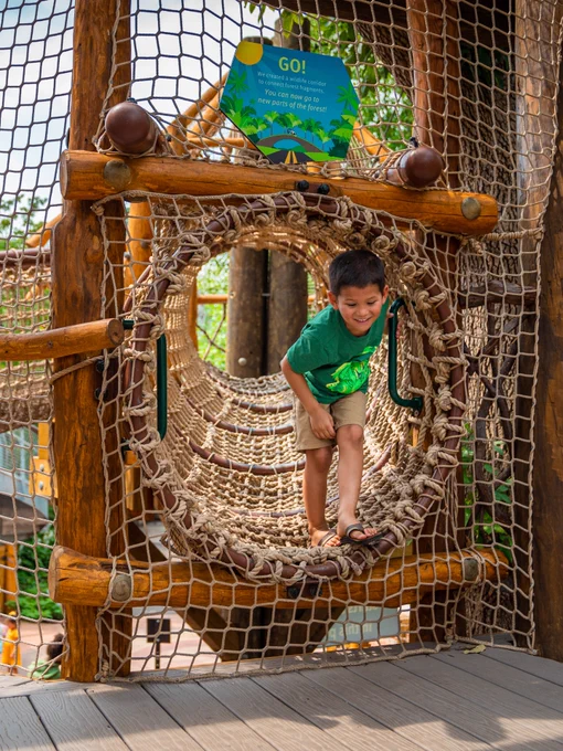 Saint Louis Zoo