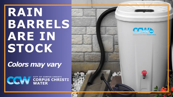 Corpus Christi Water rain barrels are back in stock. Colors may vary.