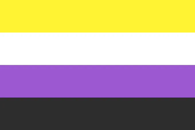 The nonbinary flag.