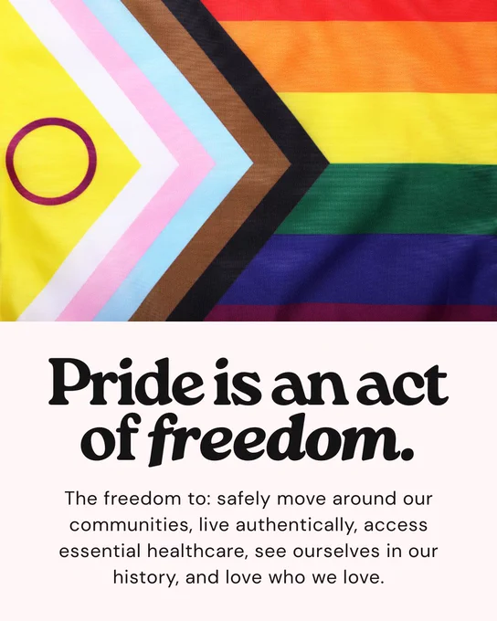 A light pink background, with a photo of the Pride Flag covering the top half of the graphic, and text centered below that reads “Pride is an act of freedom. The freedom to: safely move around our communities, live authentically, access essential healthcare, see ourselves in our history, and love who we love.”