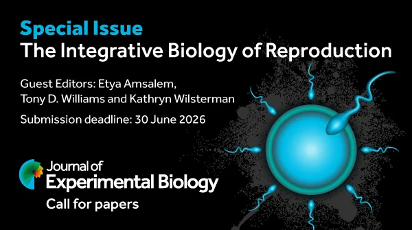 A card announcing the call for papers stating 'Special Issue: The Integrative Biology of Reproduction Guest Editors: Etya Amsalem, Tony D. Williams and Kathryn Wilsterman. Submission deadline: 30 June 2026' with the Journal of Experimental Biology logo and the logo for the Special Issue containing an egg cell surrounded by eight sperm cells. The eighth sperm, on the top right, is penetrating the egg.
