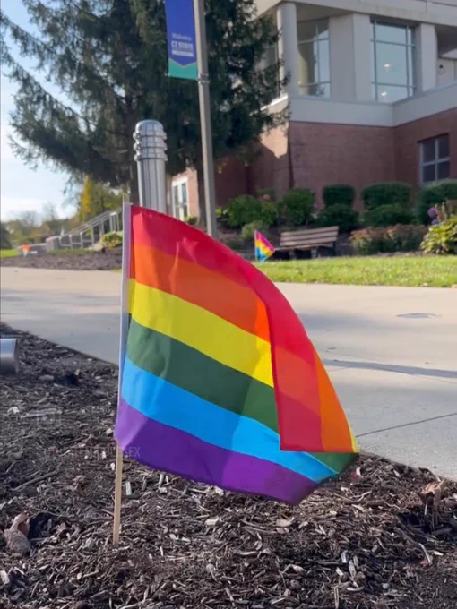 A small rainbow flag is planted in the soil near a sidewalk, with a larger brick building and trees in the background. Another rainbow flag is visible further down the path.