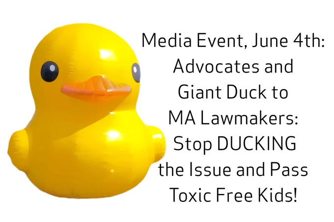 giant inflatable duck is pictured.
