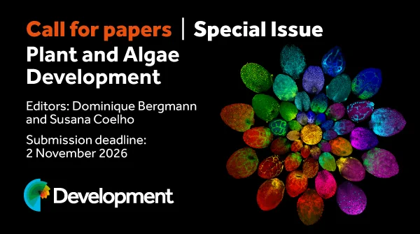 Call for papers Special Issue
Plant and Algae Development

Academic Editor Dominique Bergmann (Stanford University, USA) and Guest Editor Susana Coelho (Max Planck Institute for Biology, Tübingen, Germany).

Submission deadline: 2 November 2026

Development logo to the left